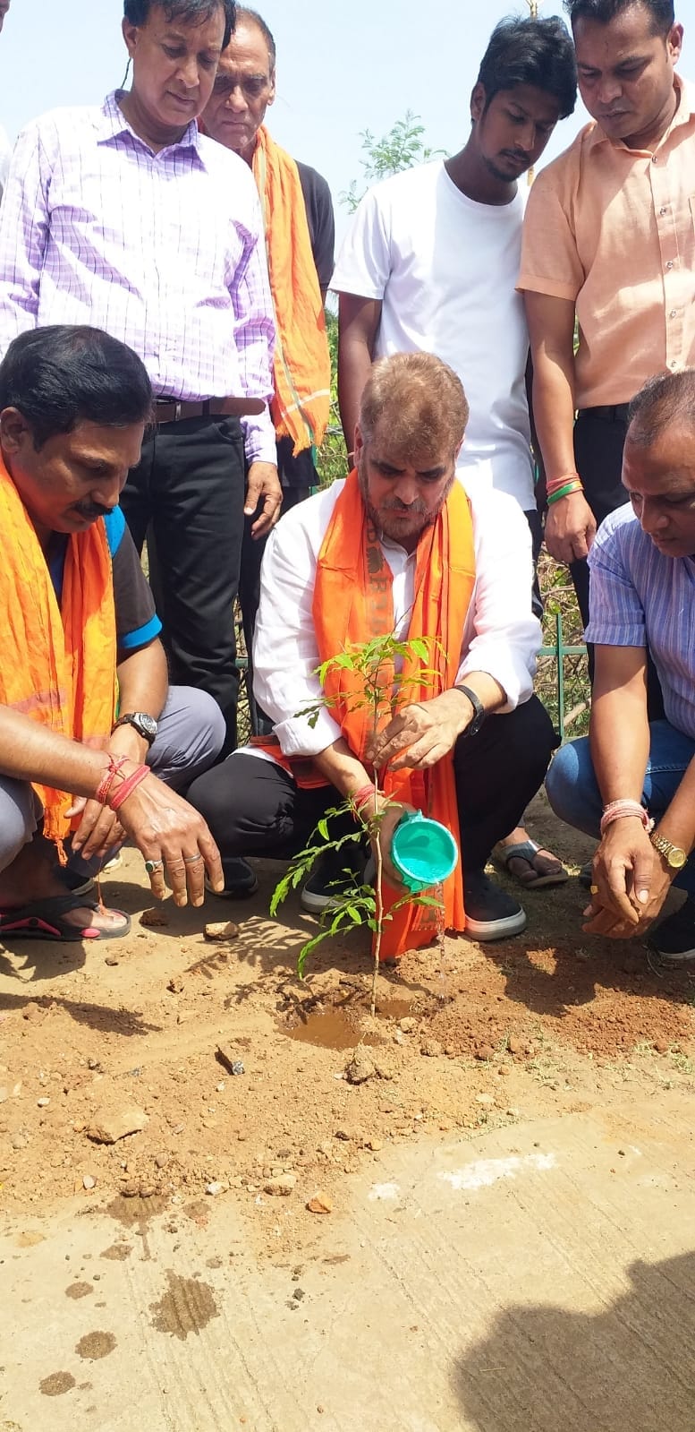 विश्व पर्यावरण दिवस