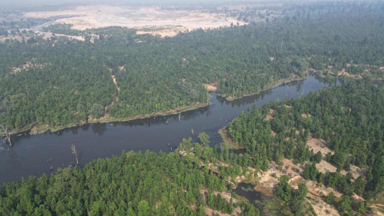 बस्तर क्षेत्र में वन