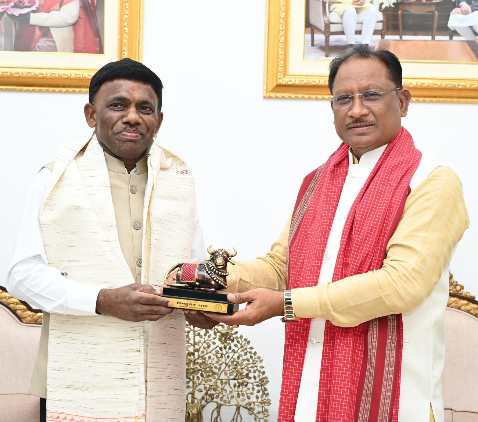 मुख्यमंत्री श्री साय