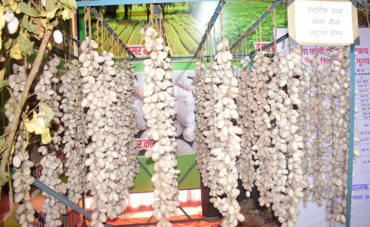 राजिम कुंभ मेला