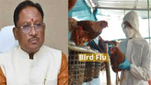 मुख्यमंत्री ने बर्ड फ्लू की