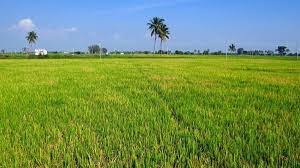 मुख्यमंत्री ने कहा अधिग्रहण से प्रभावित