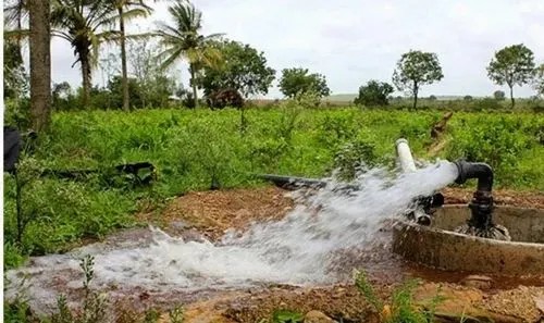 निःशुल्क बिजली से बदली खेती की तस्वीर, 8 लाख 41 हजार से अधिक कृषक परिवारों को सीधा लाभ