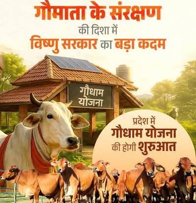 मुख्यमंत्री 14 मार्च को बिलासपुर से करेंगे “गौधाम योजना” का शुभारंभ, 29 जिलो में गौधाम का होगा उद्घाटन