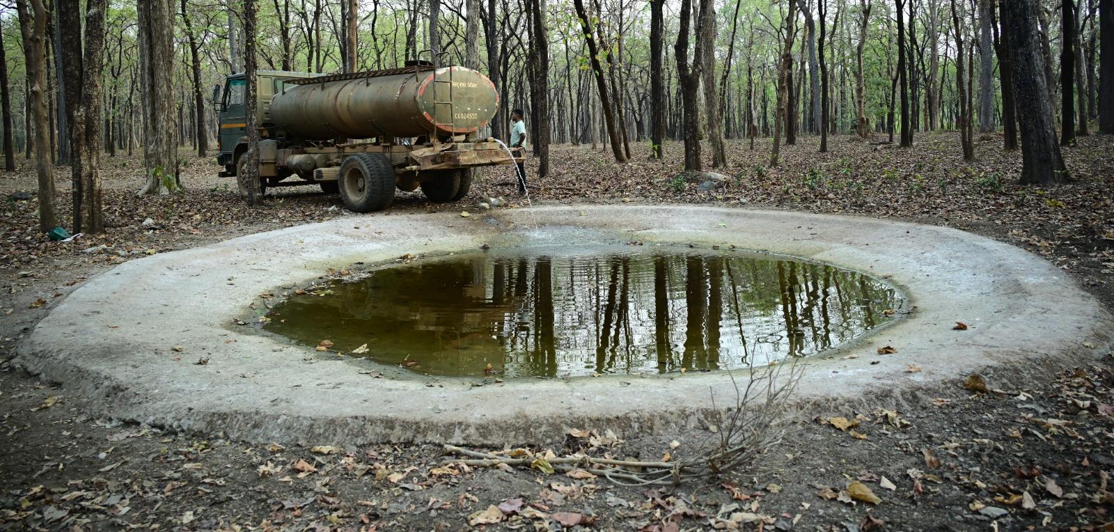 ​भीषण गर्मी में वन्यजीवों के लिए ‘संजीवनी’ बना ​वैज्ञानिक मैपिंग और सॉल्ट लिक तकनीक से बदला अभयारण्य का परिदृश्य