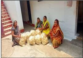 चावल पापड़ उद्योग से आत्मनिर्भरता की ओर बढ़ती हुई ग्रामीण महिलाएं
