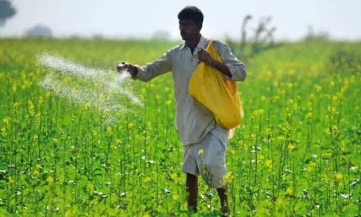 46,500 मीट्रिक टन अतिरिक्त डीएपी आवंटन से खरीफ सीजन के लिए खाद की उपलब्धता हुई सुनिश्चित