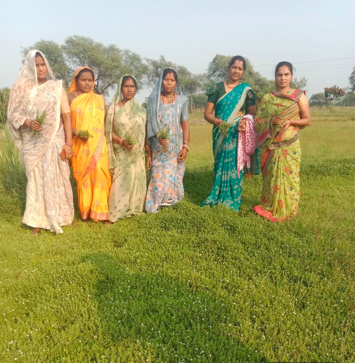 औषधीय पौधों की खेती से बदली महिलाओं की तकदीर, बढ़ेगा दायरा