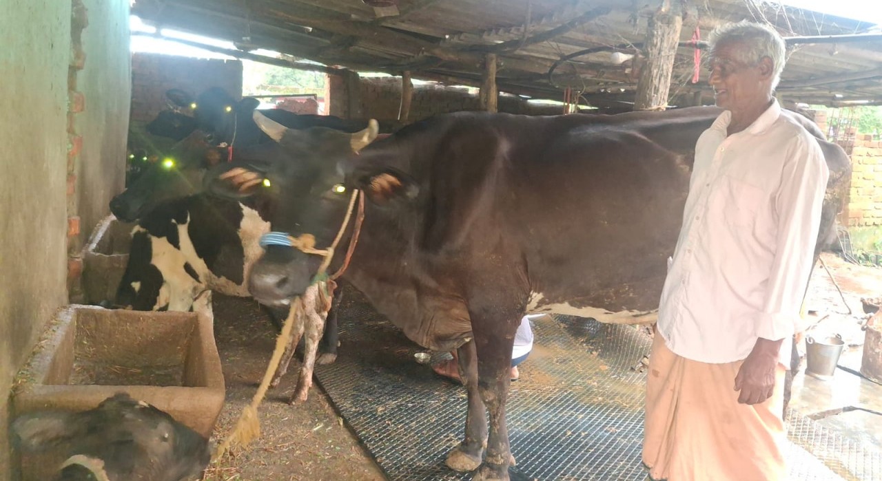 पीएम किसान सम्मान निधि की बचत से खरीदी पहली गाय, आज 10 गायों के साथ आत्मनिर्भर बने 75 वर्षीय परशुराम गुप्ता