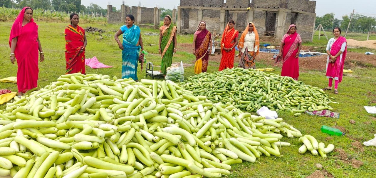 अतिक्रमण मुक्त 25 एकड़ बंजर भूमि पर उगी समृद्धि