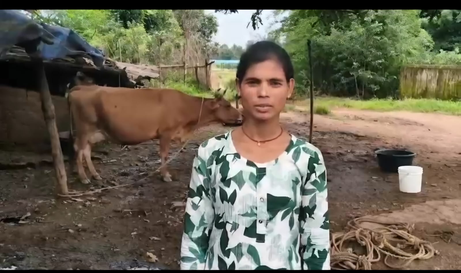 सेवा की कहानी: डेयरी व्यवसाय से संध्या बनीं आत्मनिर्भर, दूध की बिक्री से हर महीने हो रही 15 हजार रुपये की बचत